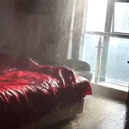 抓马儿生产队搞笑视频,笑料横生的欢乐时光