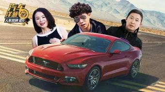 野马视频,探寻狂野之美，捕捉自然瞬间